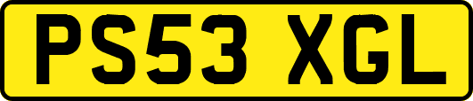 PS53XGL