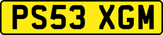 PS53XGM