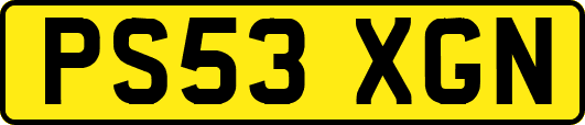 PS53XGN