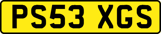 PS53XGS