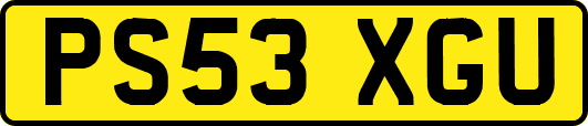 PS53XGU