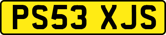 PS53XJS