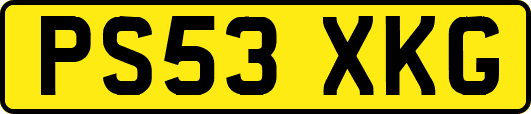 PS53XKG