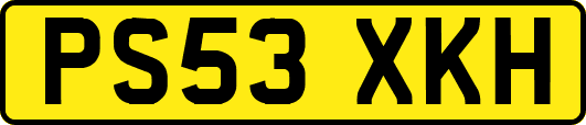 PS53XKH