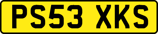 PS53XKS