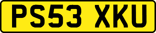 PS53XKU