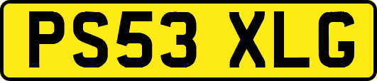 PS53XLG