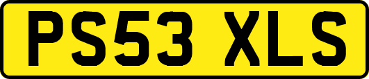 PS53XLS
