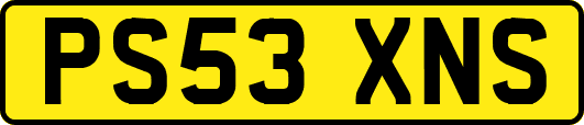 PS53XNS