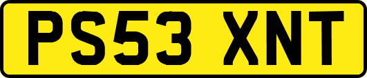 PS53XNT