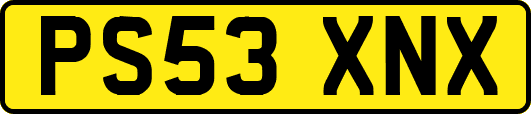 PS53XNX