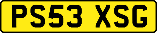 PS53XSG
