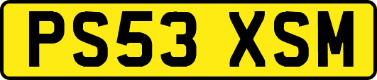 PS53XSM