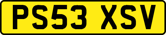 PS53XSV