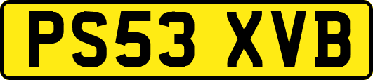 PS53XVB