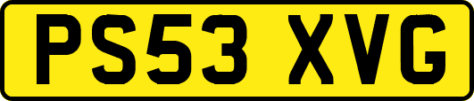 PS53XVG