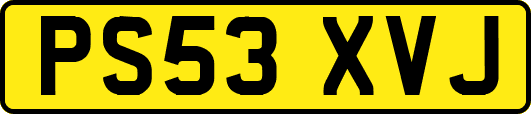 PS53XVJ