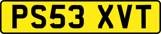 PS53XVT