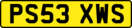 PS53XWS