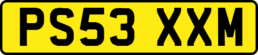 PS53XXM