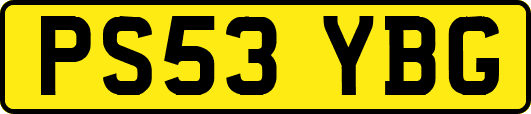 PS53YBG