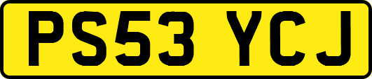 PS53YCJ
