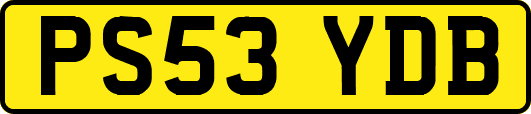 PS53YDB
