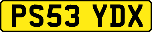PS53YDX