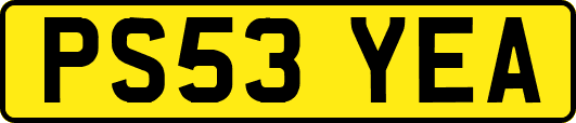 PS53YEA