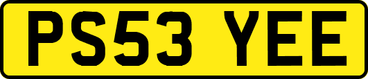 PS53YEE