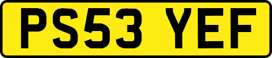 PS53YEF