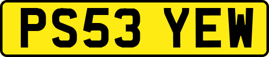 PS53YEW