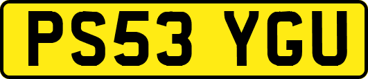 PS53YGU
