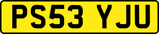 PS53YJU