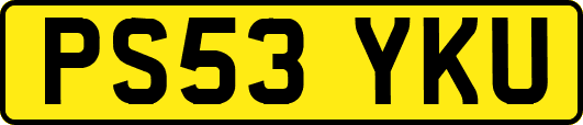 PS53YKU
