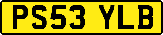 PS53YLB