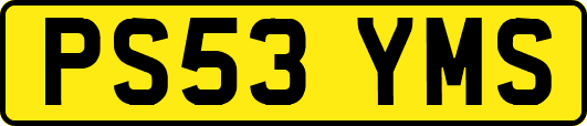 PS53YMS