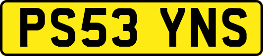 PS53YNS