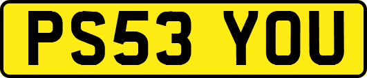 PS53YOU