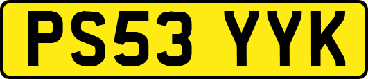 PS53YYK