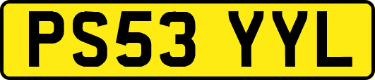 PS53YYL