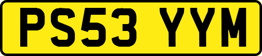 PS53YYM