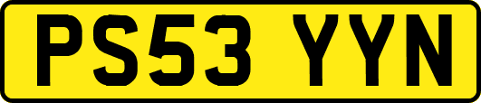PS53YYN