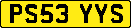 PS53YYS