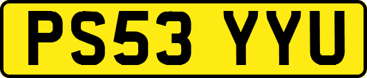 PS53YYU