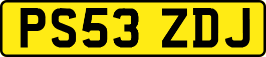 PS53ZDJ