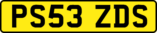 PS53ZDS