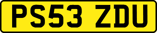 PS53ZDU