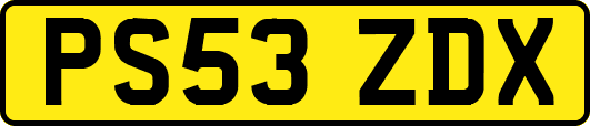 PS53ZDX