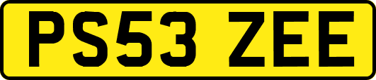 PS53ZEE